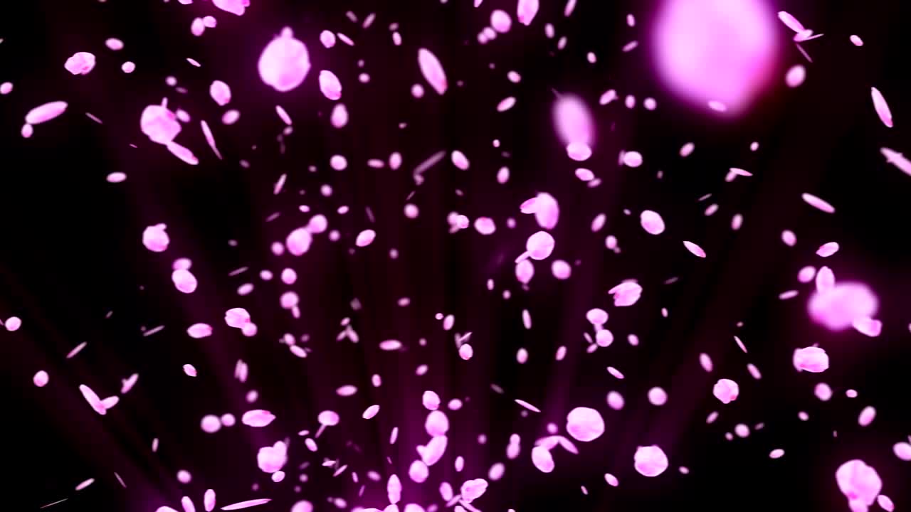 체리 꽃의 회전, cg 애니메이션, 루프 회전