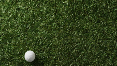 primer plano de una pelota de golf en el césped, espacio de copia, cámara lenta