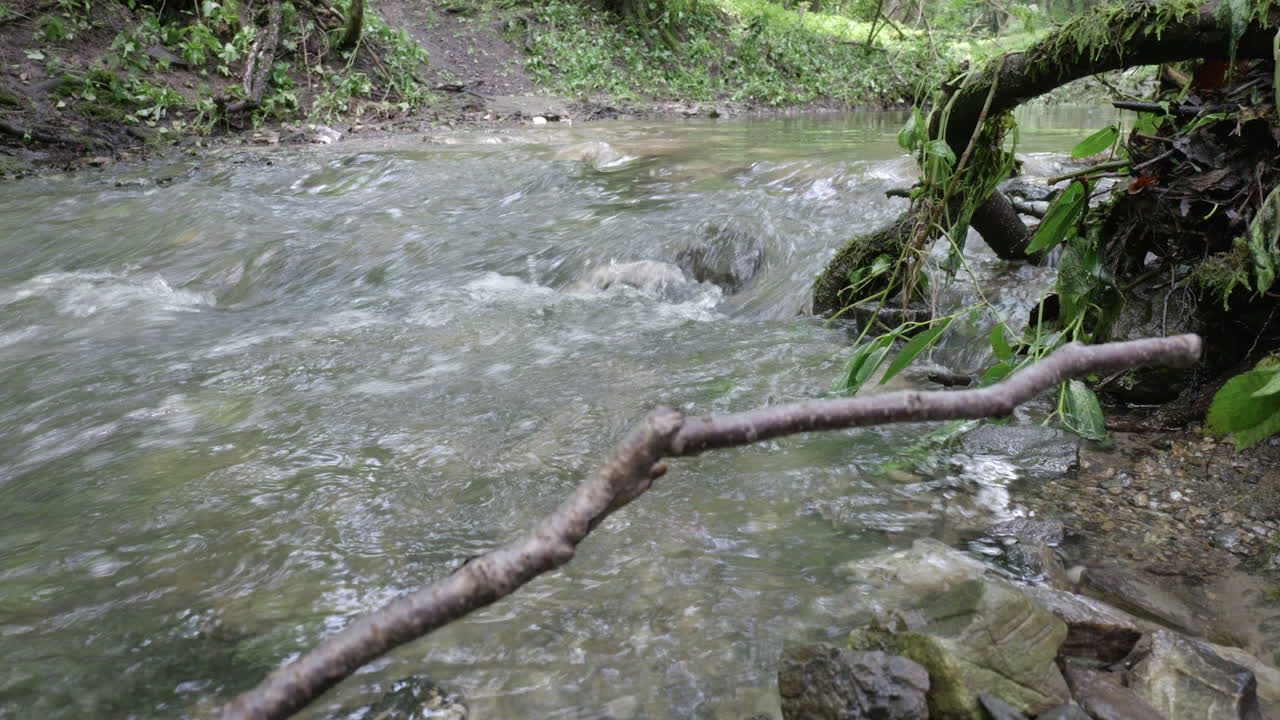 arroyo de montaña, después de la lluvia con hojas verdes