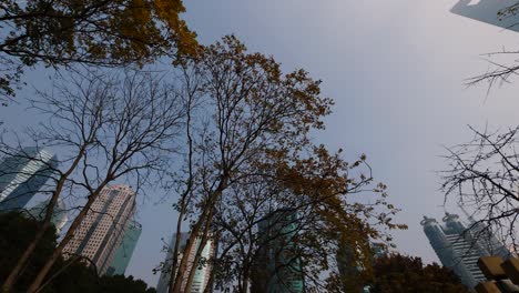 vista de ángulo bajo de los puntos de referencia de shanghai lujiazui con cielo azul en el aire pesado día de otoño contaminado, tiro de rotación, 4k b rollo de imágenes loopable, concepto de ciudad moderna.