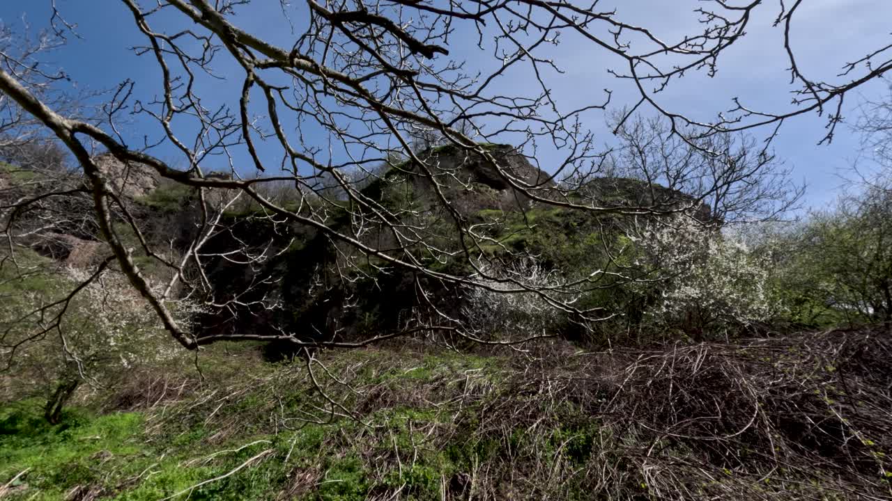 Una persona cammina attraverso un'area rocciosa ricca di cespugli e alberi sotto un cielo azzurro e limpido. Il sole splende caldamente mentre la vegetazione cresce intorno alle rocce