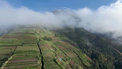 Iconic-mount-Sumbing-of-Indonesia-during-foggy-weather,-aerial-view