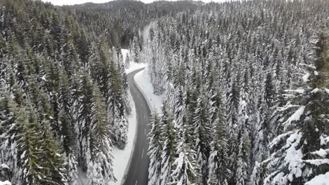 Camino-Ventoso-Con-Curvas-En-El-Bosque-Cubierto-De-Nieve,-Vista-Aérea-De-Arriba-Hacia-Abajo-4