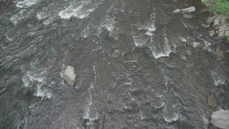 wissahickon creek, agua que fluye sobre piedras, toma cenital desde el puente de ridge avenue