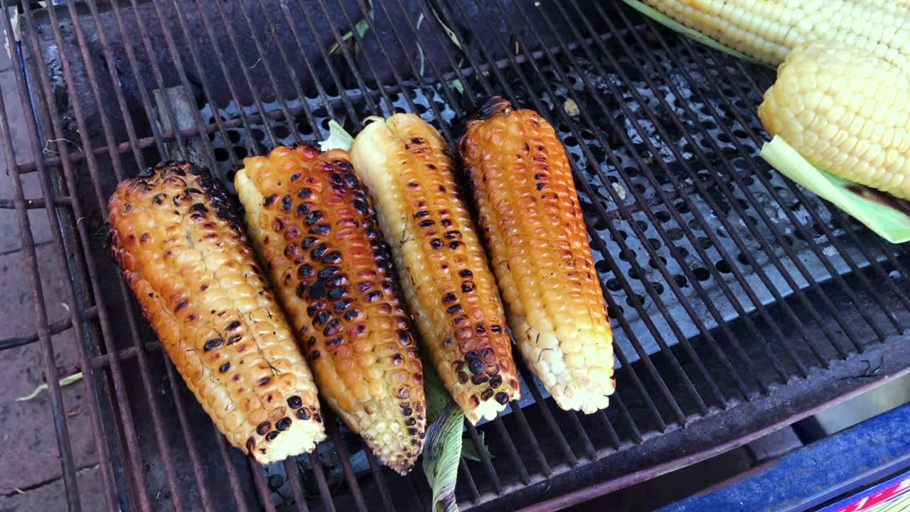 Corn grilling on a hot BBQ grill