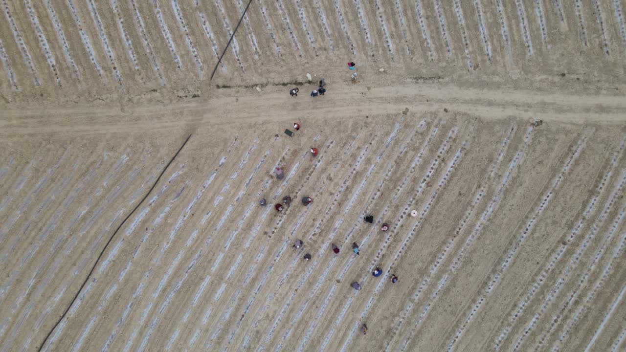 공중 농부 노동자