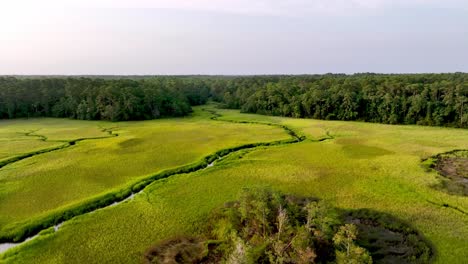 Pantano-Y-Arroyo-Cerca-De-Little-River-Sc,-Carolina-Del-Sur