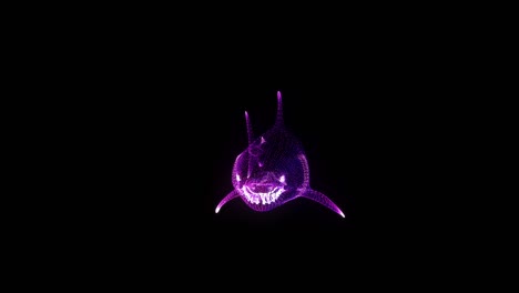 shark rgb hologram wireframe. nice 3d animation on a black background with a seamless loop for futuristics projects