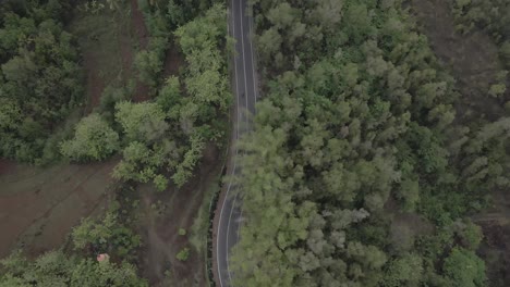 Vista-Aérea,-Camino-Sinuoso-Hacia-La-Atracción-Turística-Del-Pico-Mangunan