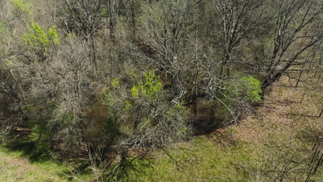 Bare-Trees-At-Bell-Slough-Wildlife-Area-In-Arkansas,-USA---Aerial-Drone-Shot