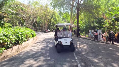 zoo golf cart tour