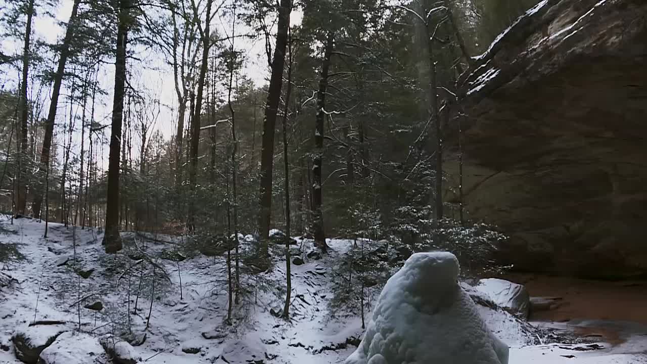 árboles forestales durante el invierno en la cueva de cenizas del parque estatal hocking hills en el sur de bloomingville, ohio, ee.uu.