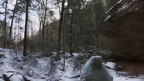 Forest-Trees-During-Winter-On-Ash-Cave-Of-Hocking-Hills-State-Park-In-South-Bloomingville,-Ohio,-USA