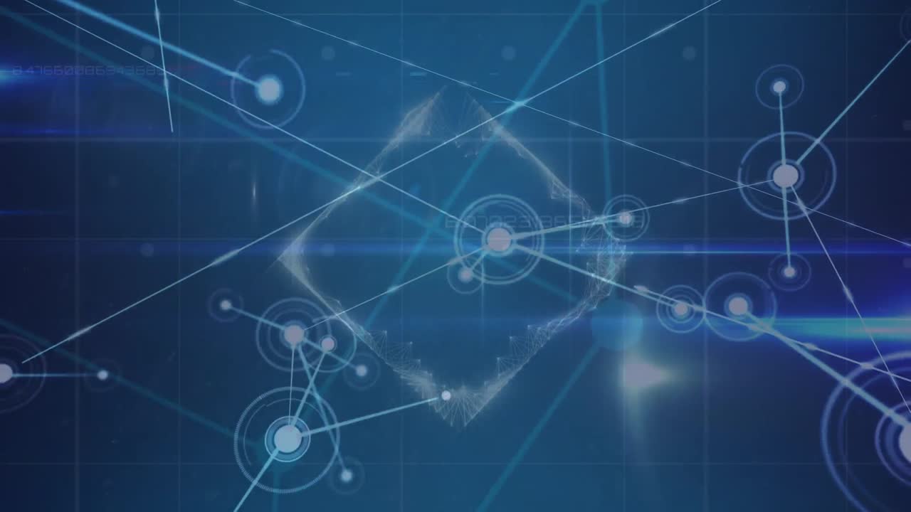 animación de la red de conexiones a través del procesamiento de datos