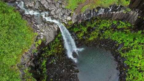 Kaskadierender-Bach-über-Vulkansäulen---Svartifoss-Im-Vatnajokull-Nationalpark-In-Island