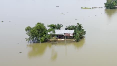 a tin shed poor shack house with trees isolated by flood water at a vast rural hoar area in bangladesh. zoom out shot