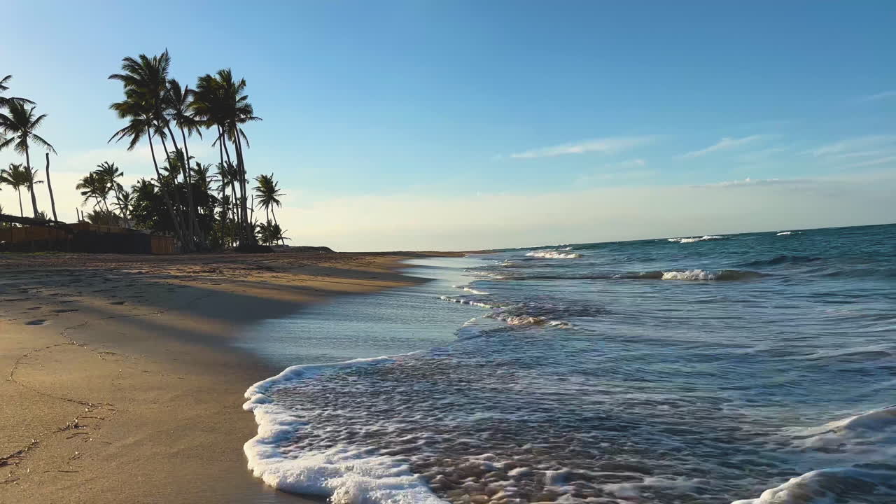 vista da praia ao pôr-do-sol com palmeiras na costa arenosa