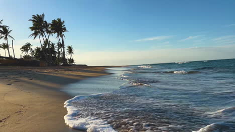 vista de la playa al atardecer con palmeras en la orilla arenosa