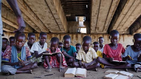 children learning under a bridge