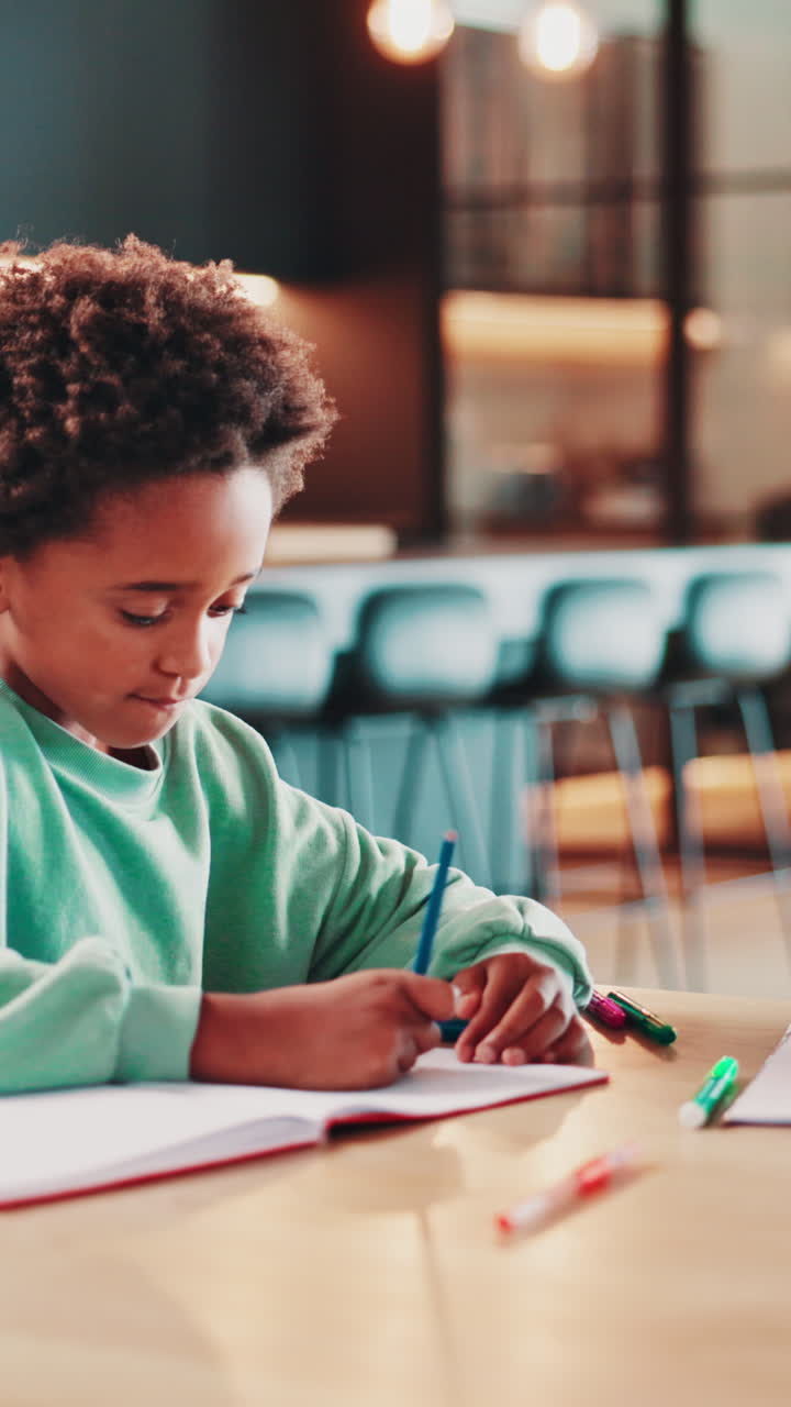 Two Young Boys Drawing and Studying Together at Home