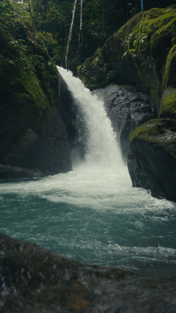 cascata in una foresta lussureggiante
