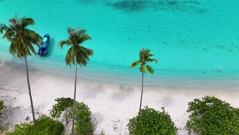 4k drone video looking down on oyama beach, a tropical white sand beach in the banggai islands in sulawesi, indonesia. the waves are rolling against the shore as the palm trees blow in the wind