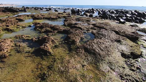 Niedriger-Winkel,-Gezeitentümpel-Bilden-Sich-Bei-Ebbe,-Rocky-Point,-Mexiko