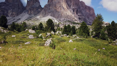 Pan-De-Un-Hermoso-Prado-Alpino,-Hasta-Los-Picos-Escarpados-Del-Sassolungo-O-Langkofel