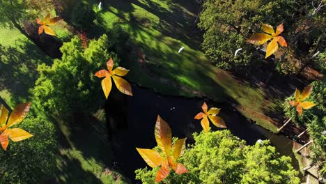 Animation-of-orange-autumn-leaves-falling-in-park