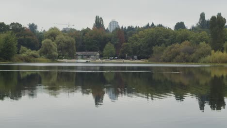 Lake-with-reflection-of-large-trees-and-beach