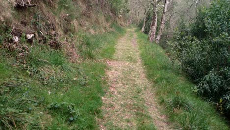 dirt path with grass on the hiking trail along the mighty sor river at the beginning of spring on a bright day