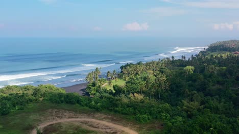 Antena-De-La-Costa-De-La-Isla-De-La-Selva-Con-Cocoteros-Y-Playa-De-Arena-Negra-En-Bali-En-Un-Día-Soleado