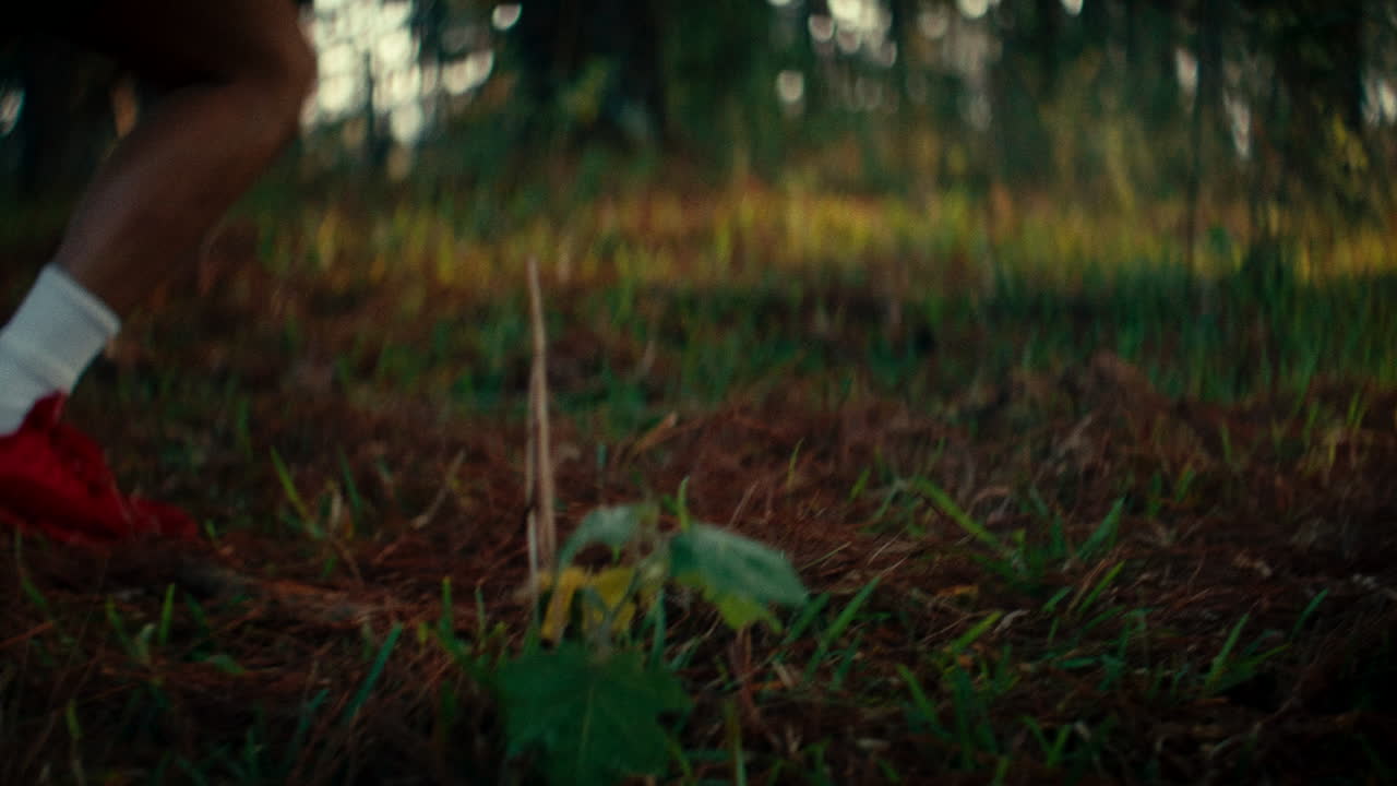 Person Running in the Forest