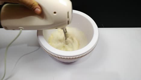 a woman is mixing powder with milk by mixer to make an ice cream