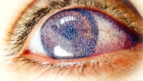ojo de dama 02