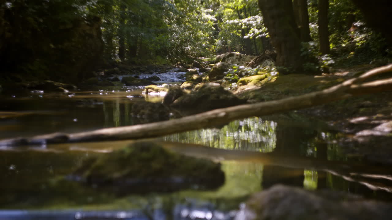Córrego pitoresco na floresta com cachoeira e rochas cobertas de musgo