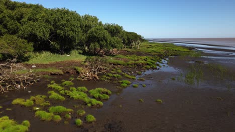 Niedrige-Vorwärtsantenne-Mit-Grüner-Natur-Und-Sandbänken-Am-Fluss-La-Plata