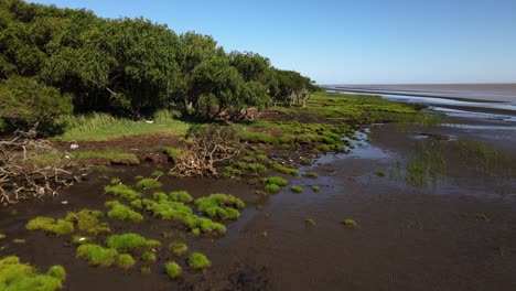 antena baja de naturaleza verde y bancos de arena junto al río la plata