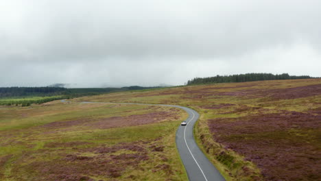 Two-cars-passing-each-other-on-road-in-countryside.-Elevated-view-of-landscape-with-grasslands-and-woods.-Ireland