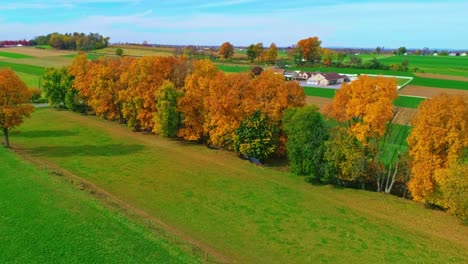 a drone view of a row of autumn trees, with bright orange and red leaves looking over farmlands on a bright sunny day