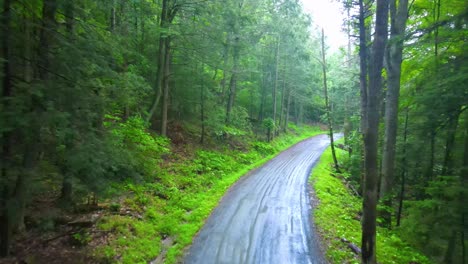 Drohnenvideoaufnahmen-Einer-Abgelegenen-Kiefernwaldstraße-In-Den-Appalachen