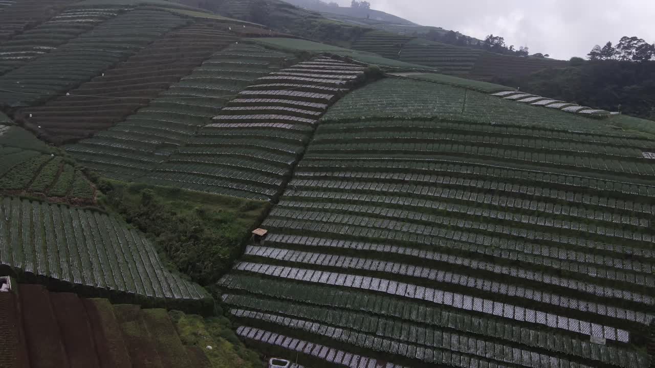 Aerial view, a view of the leek vegetable garden terrace on the slopes of Mount Sumbing as a tourist spot named Nampan sukomakmur