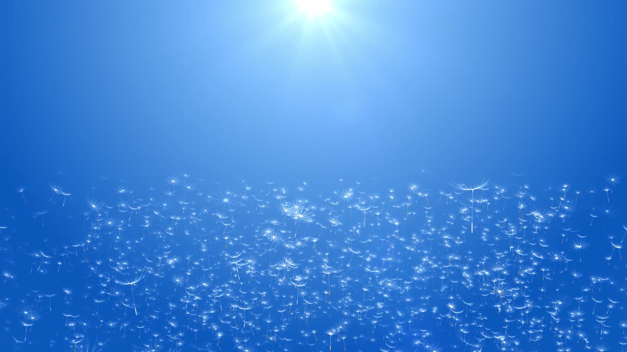 불꽃의 씨을 불어넣는 줄기 배경 불불꽃의 줄기가 비극적인 일몰을 배경으로 날아갑니다.