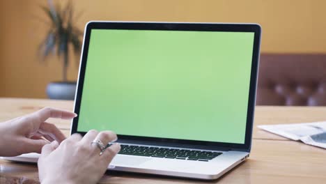 mujer trabajando en una computadora portátil con una pantalla verde