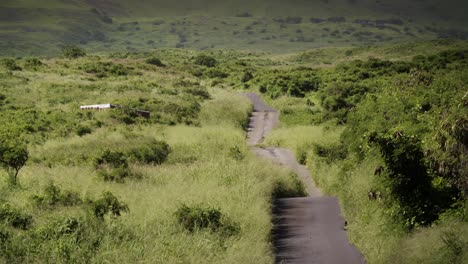 camino rural del país