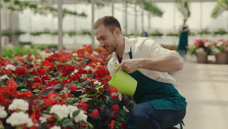 man watering flowers in a bright greenhouse