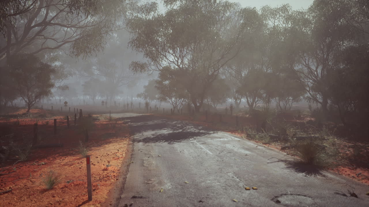 오스트레일리아 외의 안개가 가득한 도로