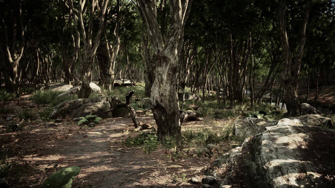 rocas en hierba verde cubierta de musgo verde