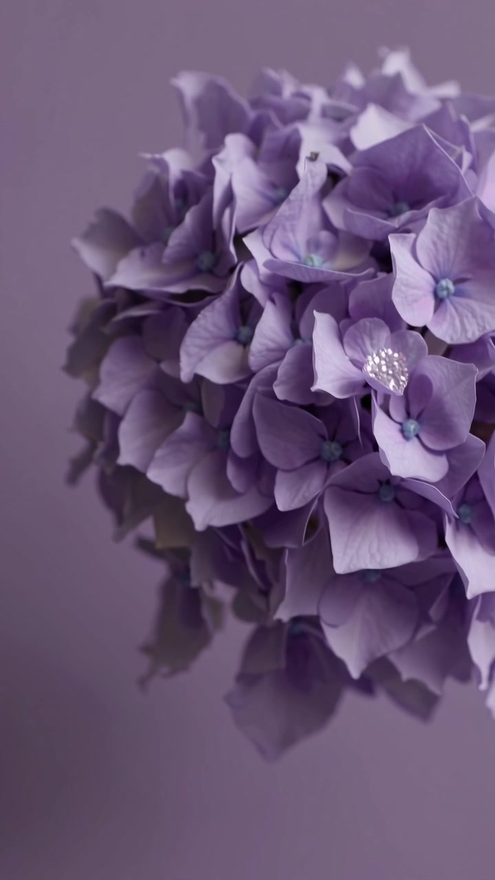 Gnistrende diamantring placeret i en lilla hortensia