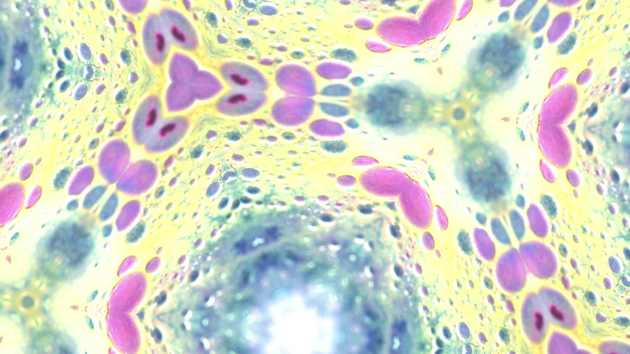 Geometric kaleidoscope animated pattern